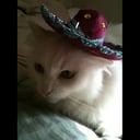 Clinton