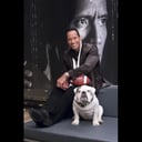 Dwayne Johnson