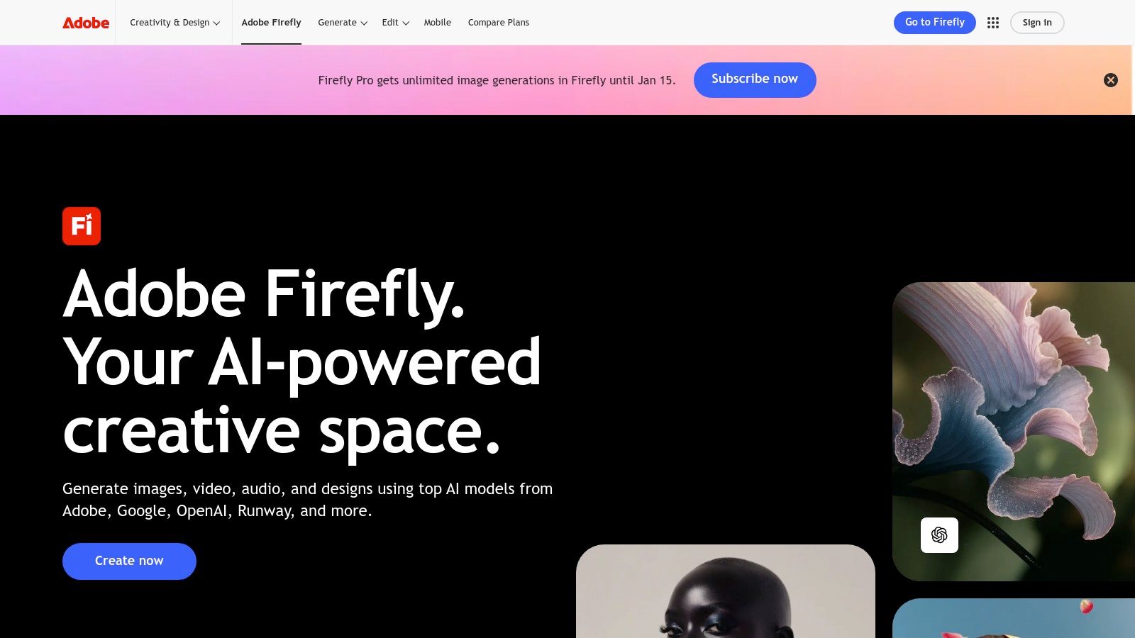 Adobe Firefly / Creative Cloud Pro