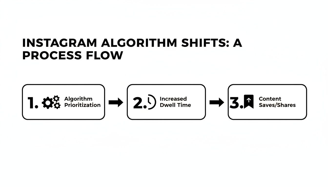 A process flow illustrating Instagram algorithm shifts: prioritization leads to increased dwell time, then content saves and shares.