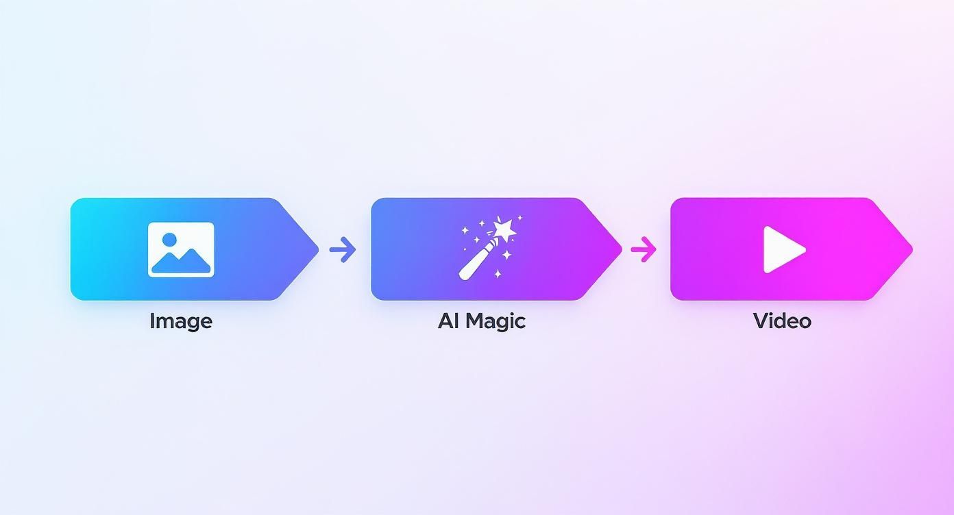 A diagram illustrating the workflow of converting an image into a video using AI magic.