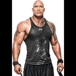 The Rock