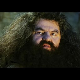 Rubeus Hagrid