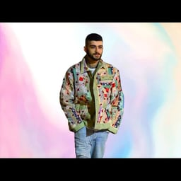 Zayn Malik