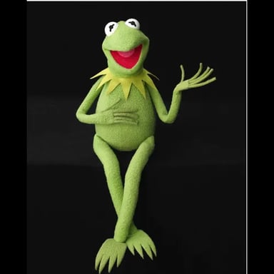 Kermit the frog