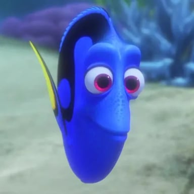 dory