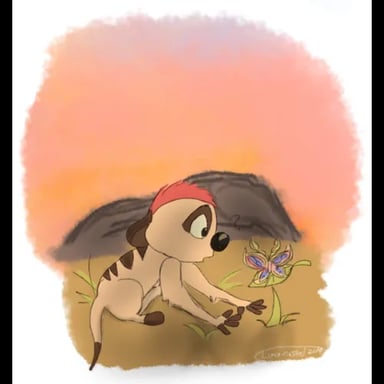 Baby Timon The Meerkat