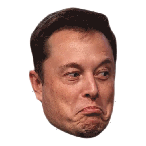 Image of Elon Musk